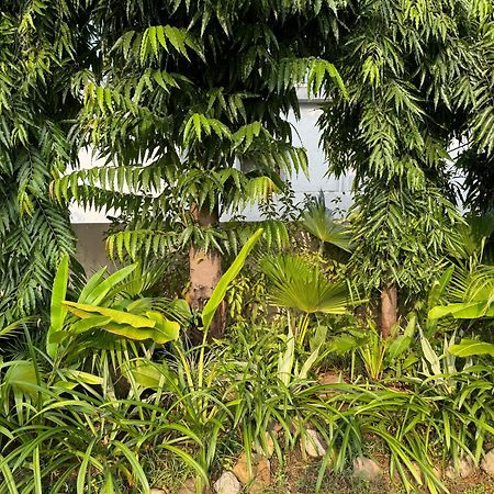 The Bougainvillea Cottage Farmstay Near Dehradun , 2 Bedroom Private Cottage Next To Fields And Orchards With Hill Views Екстериор снимка