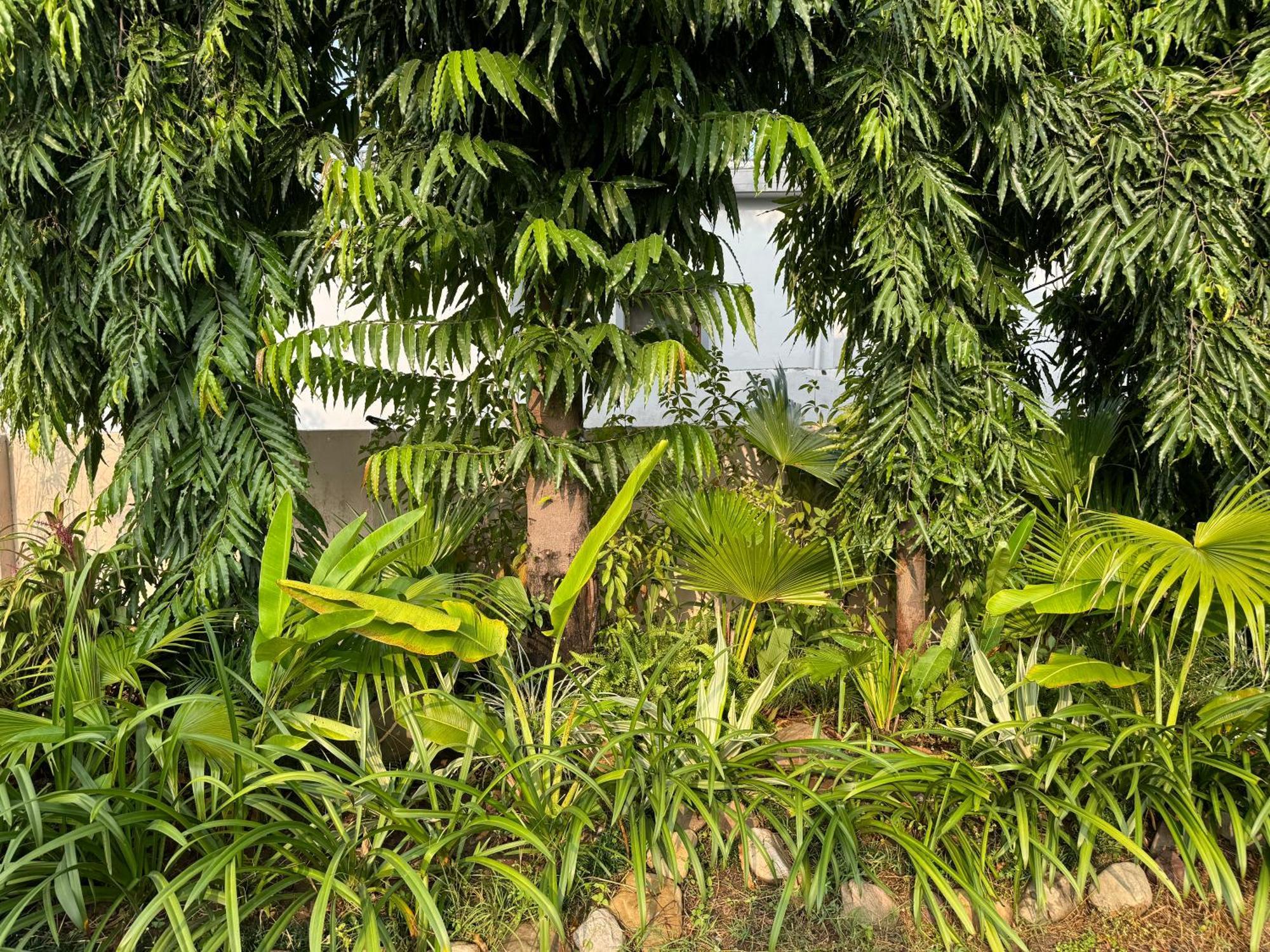 The Bougainvillea Cottage Farmstay Near Dehradun , 2 Bedroom Private Cottage Next To Fields And Orchards With Hill Views Екстериор снимка