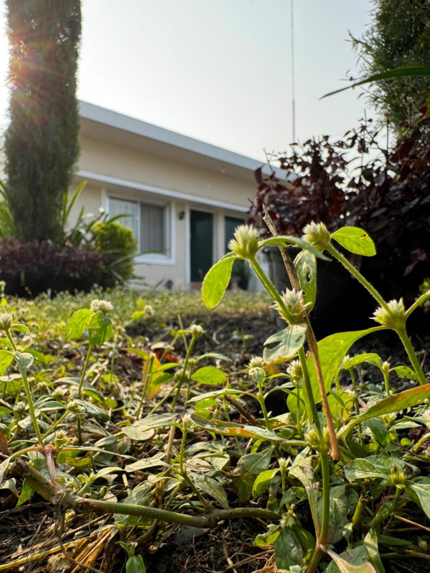 The Bougainvillea Cottage Farmstay Near Dehradun , 2 Bedroom Private Cottage Next To Fields And Orchards With Hill Views Екстериор снимка