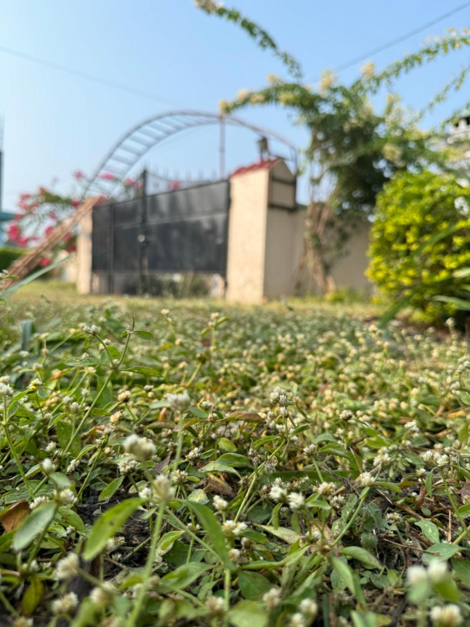 The Bougainvillea Cottage Farmstay Near Dehradun , 2 Bedroom Private Cottage Next To Fields And Orchards With Hill Views Екстериор снимка